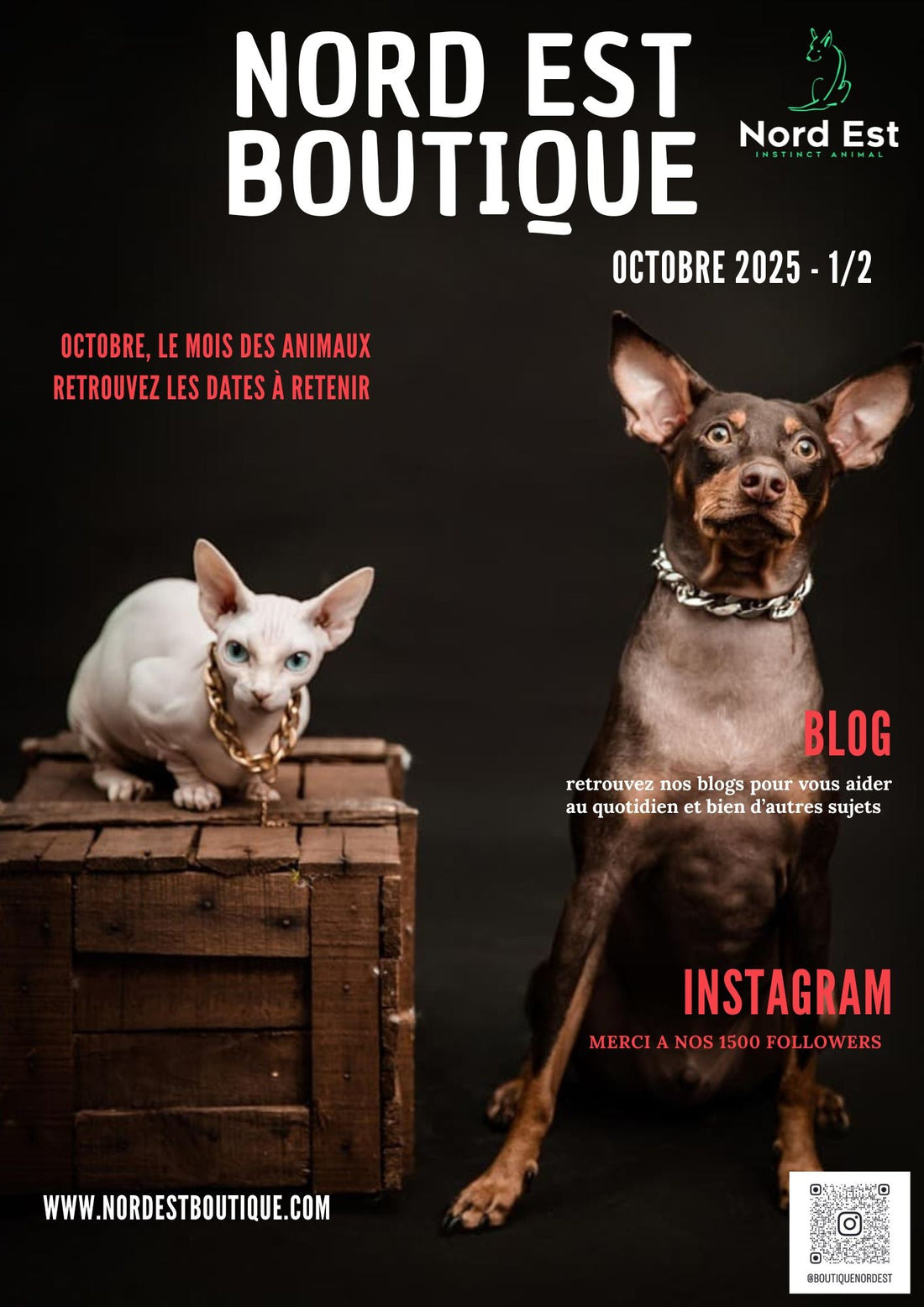 đŸ Les grandes journĂ©es dĂ©diĂ©es aux animaux en octobre