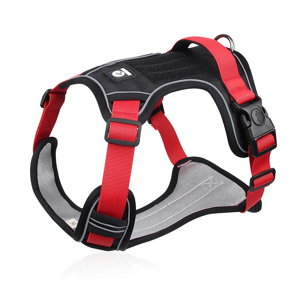 Harnais pour Chien Bi-Couleur – Confort, Contrôle et Visibilité