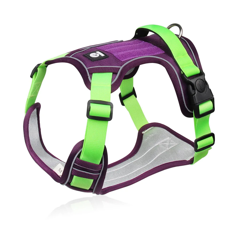 Harnais pour Chien Bi-Couleur – Confort, Contrôle et Visibilité