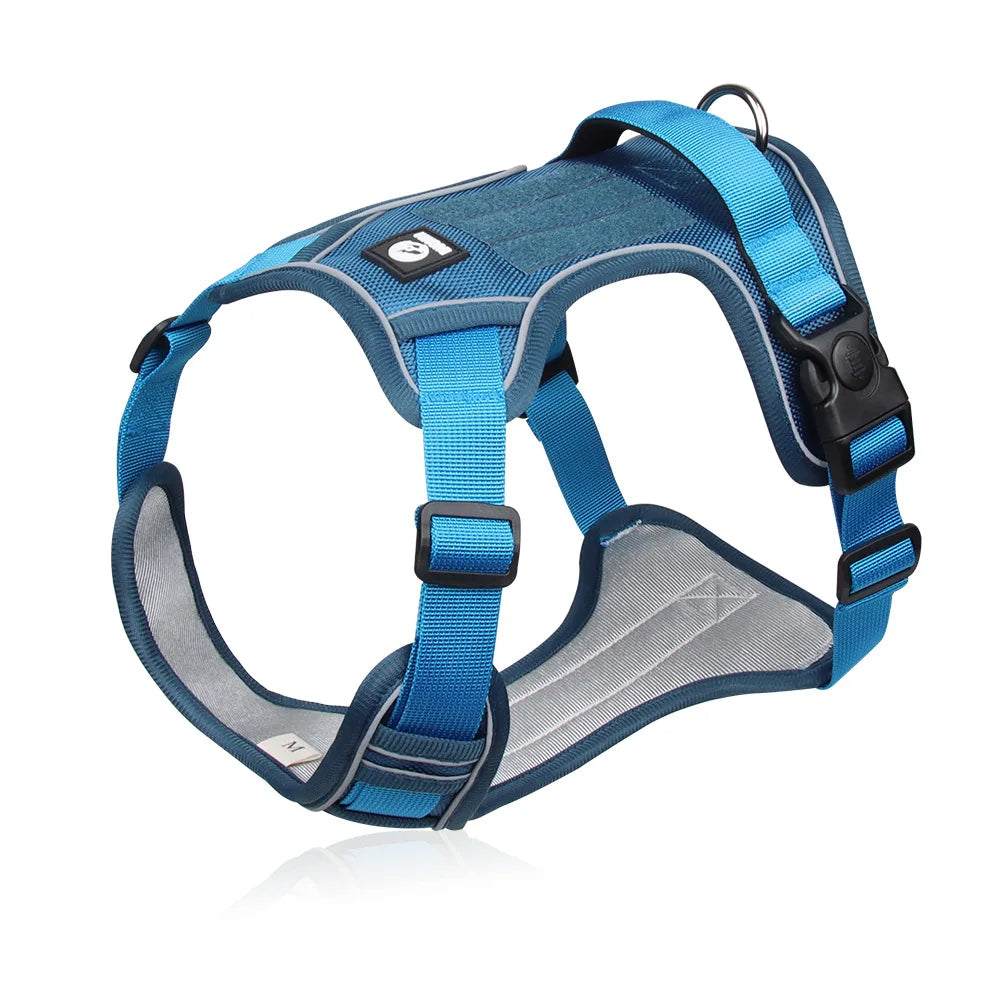 Harnais pour Chien Bi-Couleur – Confort, Contrôle et Visibilité