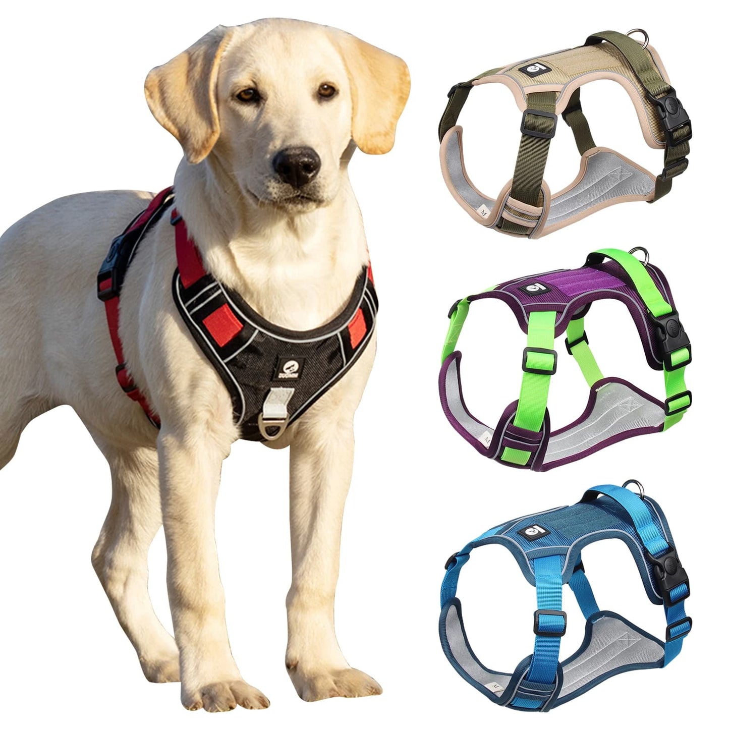 Harnais pour Chien Bi-Couleur – Confort, Contrôle et Visibilité