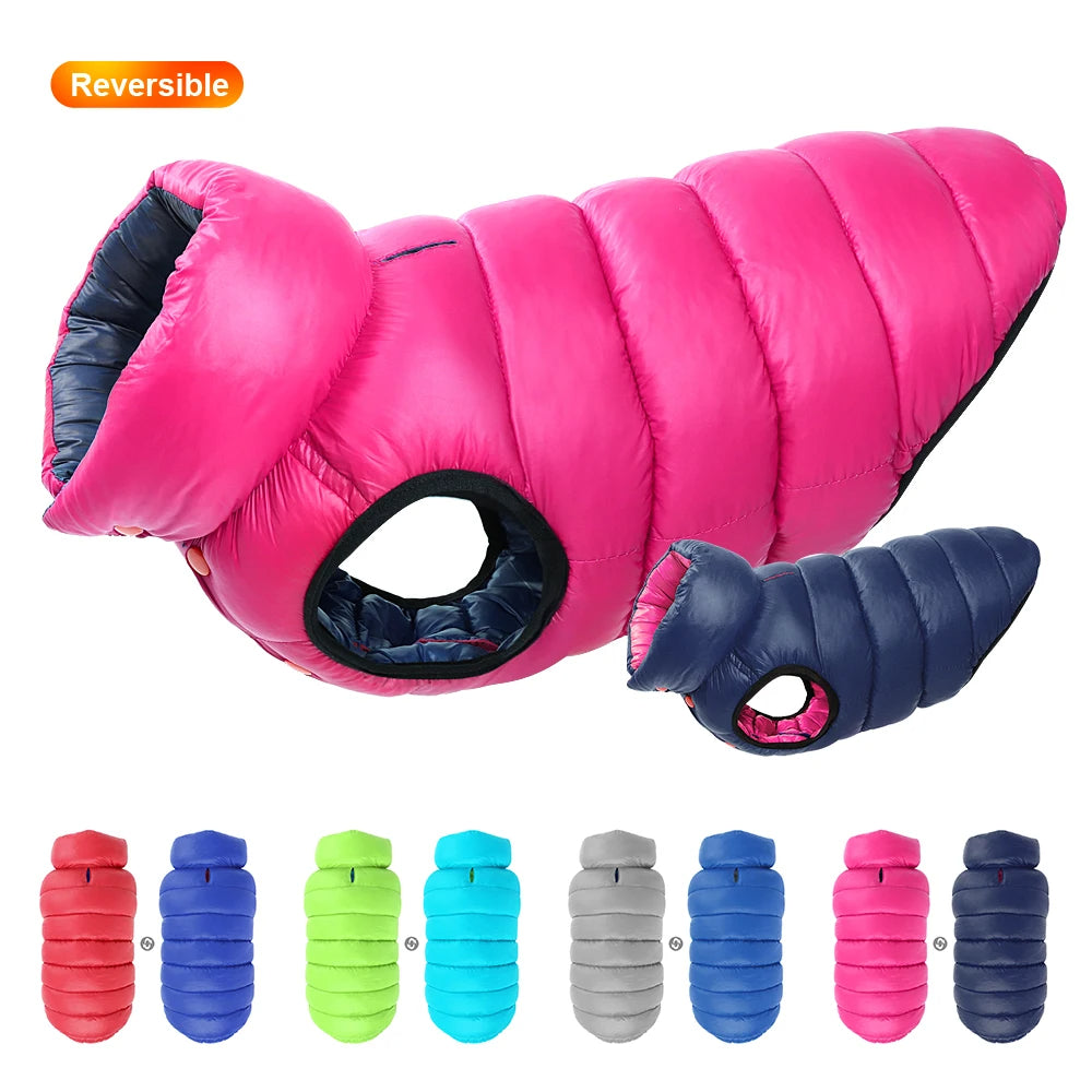 🧥🐶 Veste chien hiver réversible – Protection en toutes saisons ! ❄️☔