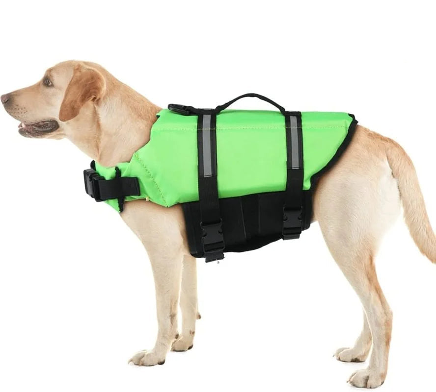 🐾 Gilet de Sauvetage – Sécurité et Confort sur l’Eau