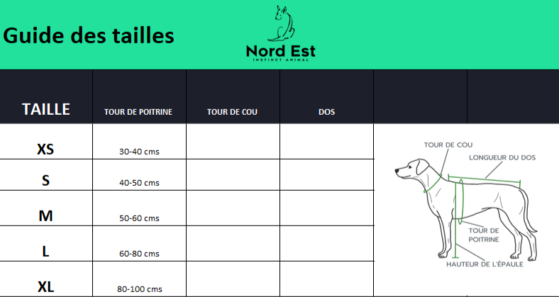 Harnais Chien Basic – Confort, Durabilité et Sécurité 🐾