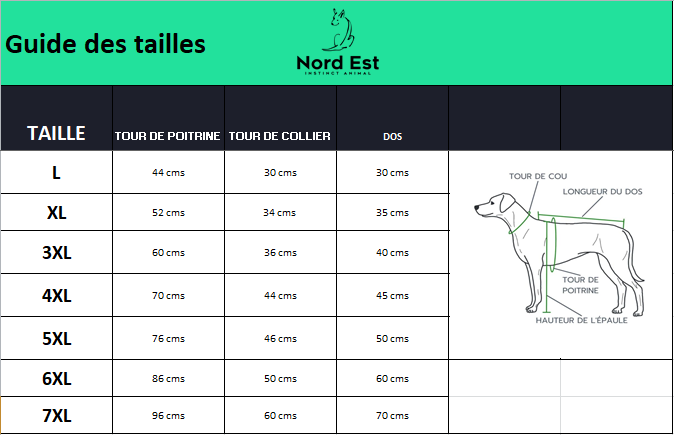 🧥🐶 Veste chien hiver réversible – Protection en toutes saisons ! ❄️☔