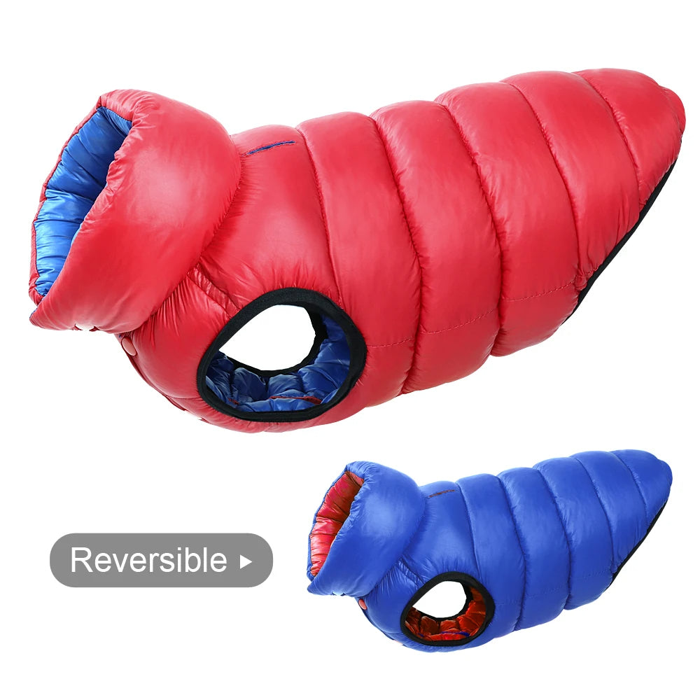 🧥🐶 Veste chien hiver réversible – Protection en toutes saisons ! ❄️☔