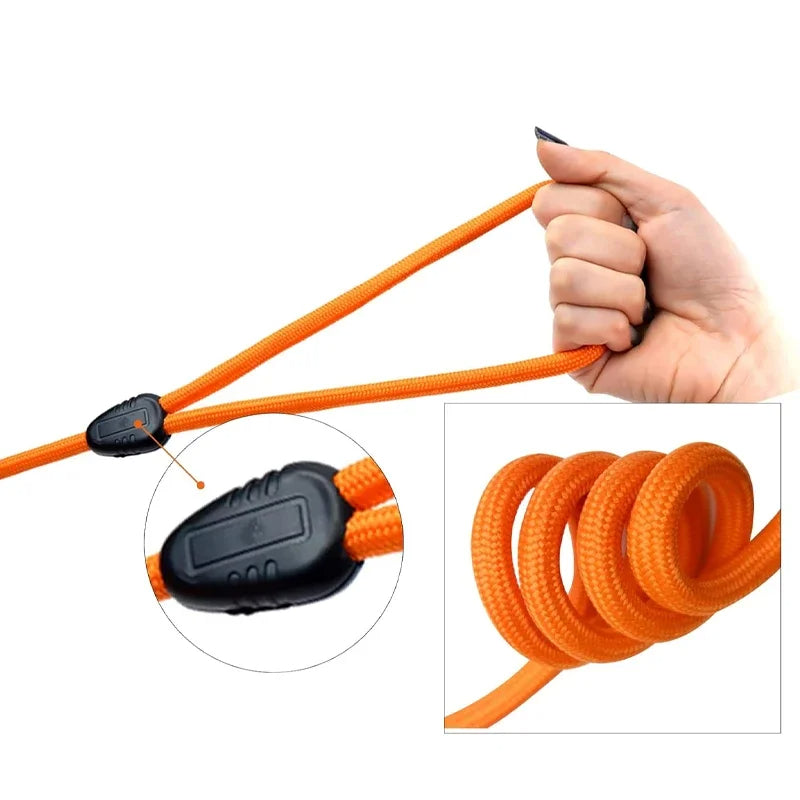 Longe – Idéale pour l'Entraînement et l'Agility 🐕💨