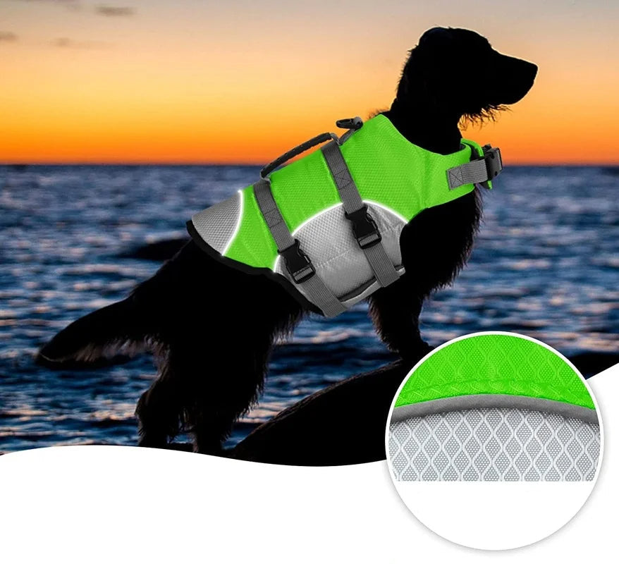 🐾 Gilet de Sauvetage – Sécurité et Confort sur l’Eau