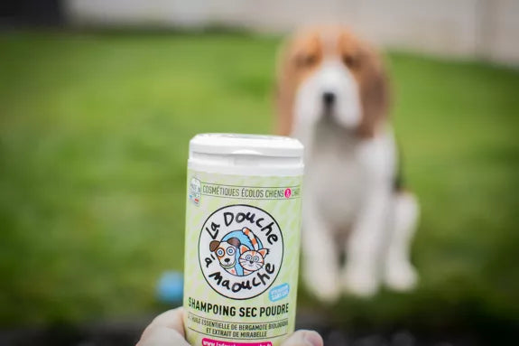 🐶 Shampoing sec pour chien – 250ml 🧴 La douche a Moaouch