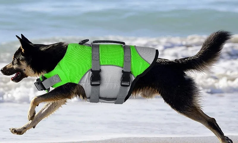 🐾 Gilet de Sauvetage – Sécurité et Confort sur l’Eau