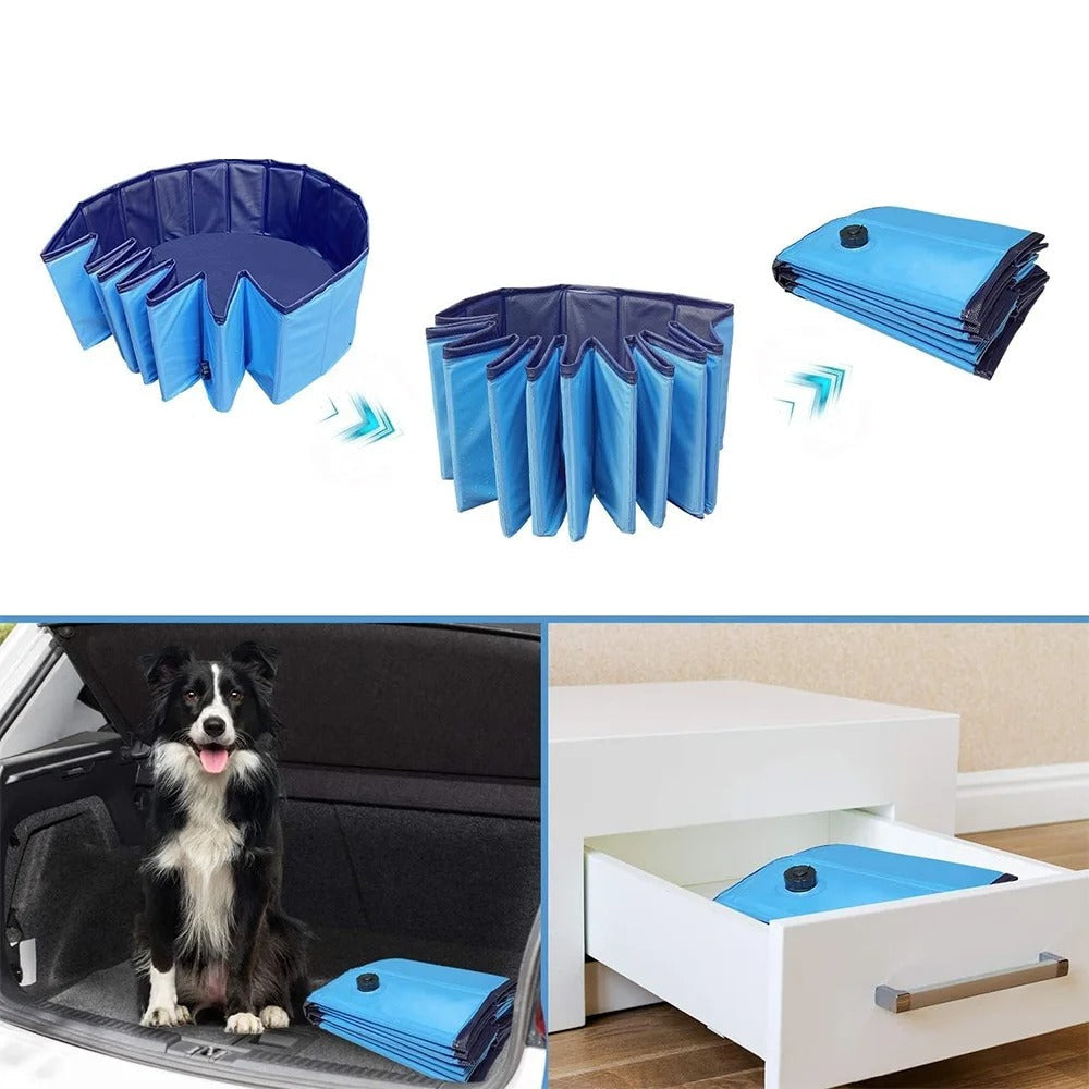 🐾💦 Piscine pliable pour animaux – Le bain devient un plaisir ! 🐶🐱