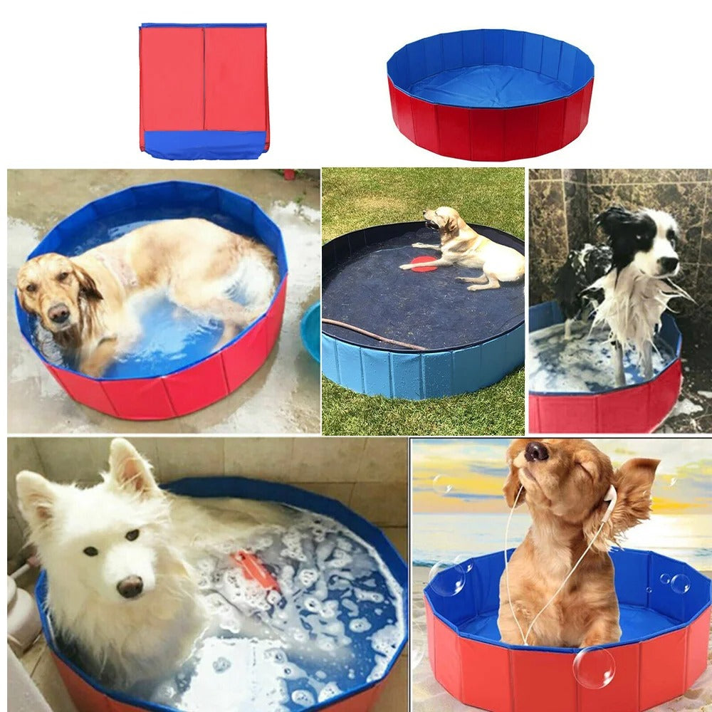 🐾💦 Piscine pliable pour animaux – Le bain devient un plaisir ! 🐶🐱
