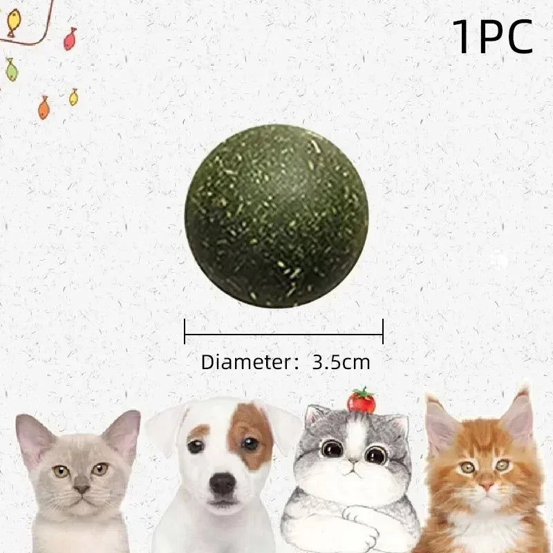 🌿 Boule murale à coller d'herbe à chat 🐾