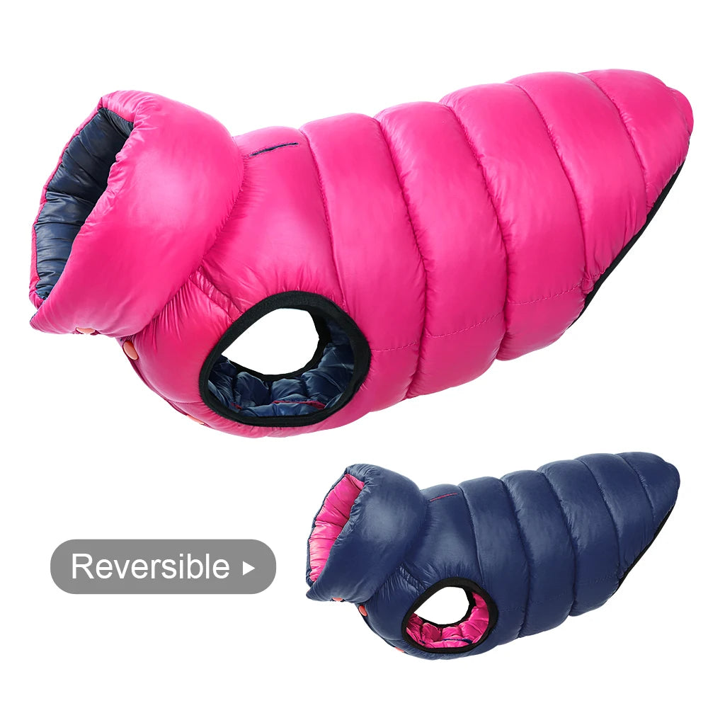 🧥🐶 Veste chien hiver réversible – Protection en toutes saisons ! ❄️☔