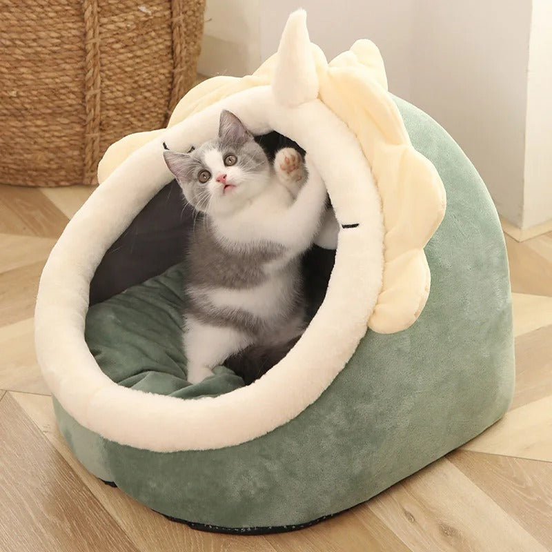 Igloo pour chat 😻🏠
