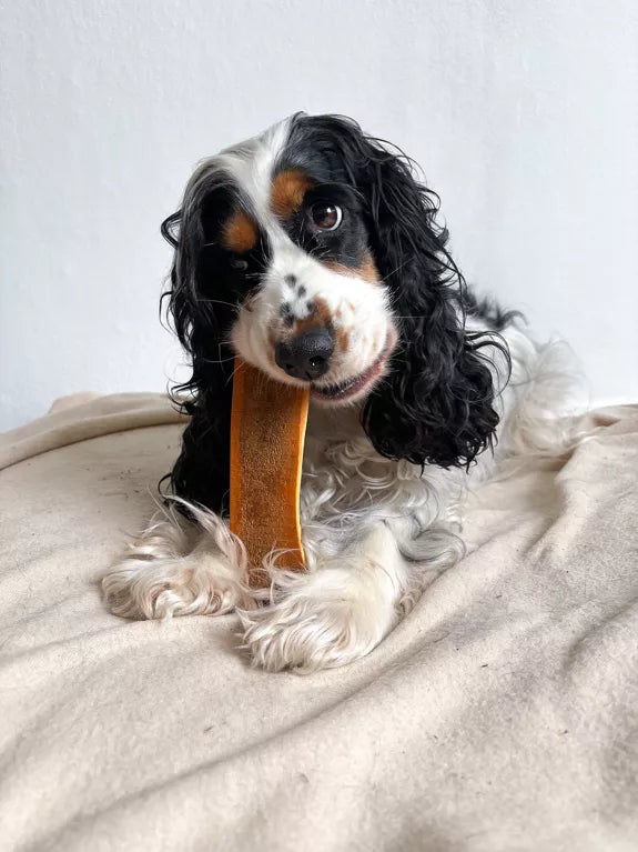 🦴Bois de cerf tranché fumé au jambon pour chien 🐶Evident