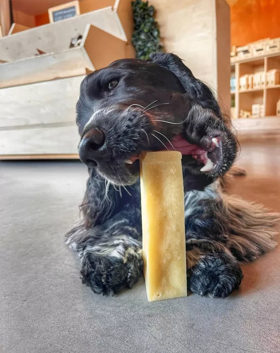 🧀 Bâtonnets de fromage à macher pour chien – 100 % naturel 🐶 Evident