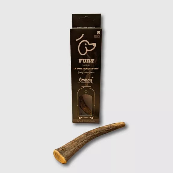 🦌 Bois de cerf entier fumé au jambon 🐾 Evident