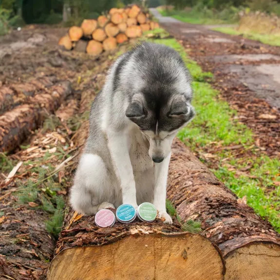Baume pour les yeux et la truffe - Le Joli Minois