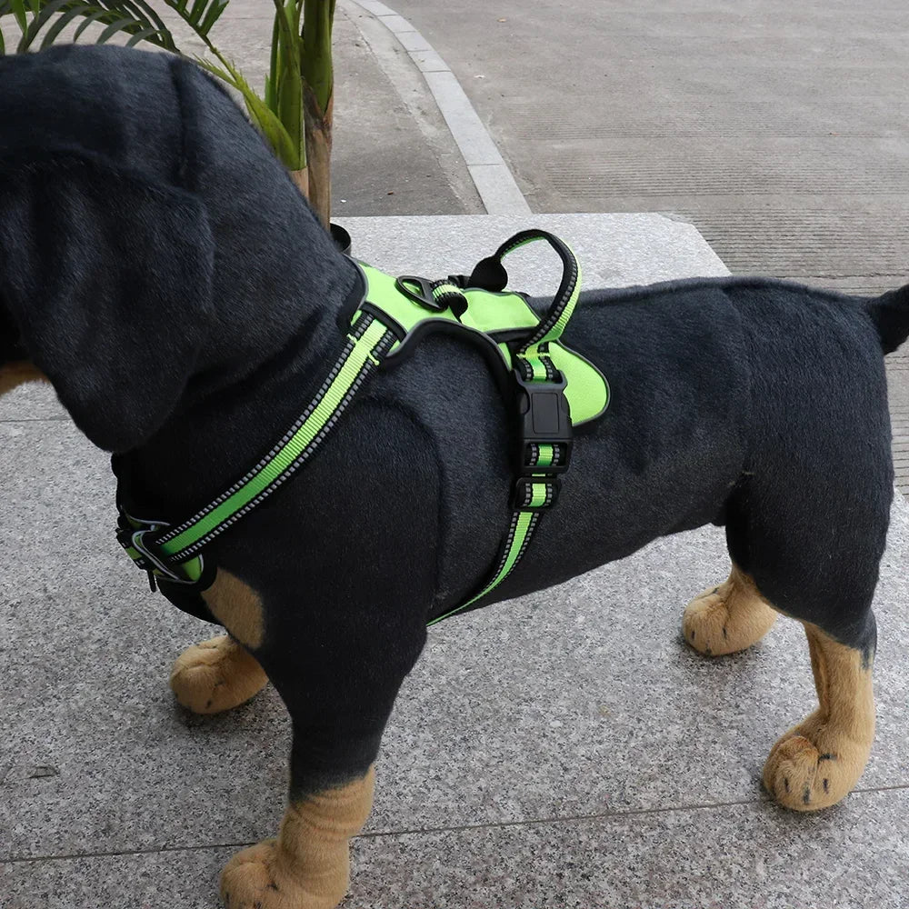 🐾 Harnais Réglable pour Chien – Confort, Sécurité et Style !