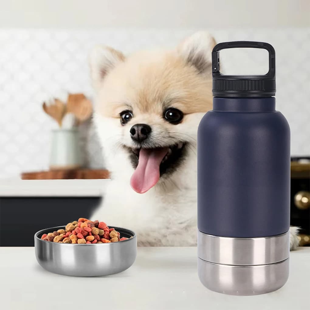 🐾 Gourde thermos de voyage en métal 3 en 1 pour chien ou chat