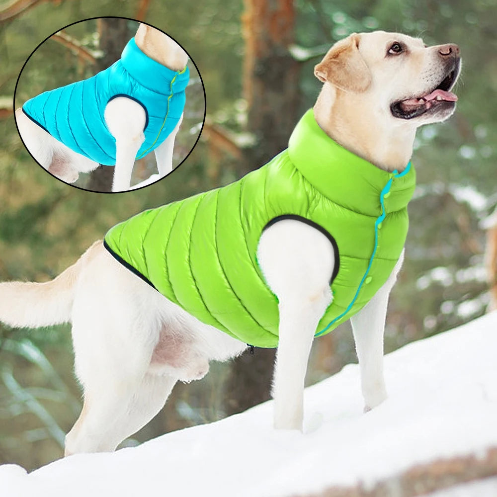 🧥🐶 Veste chien hiver réversible – Protection en toutes saisons ! ❄️☔