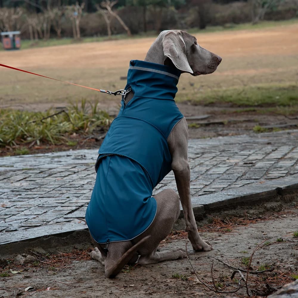 Veste de pluie ajustable pour chien 🌧️