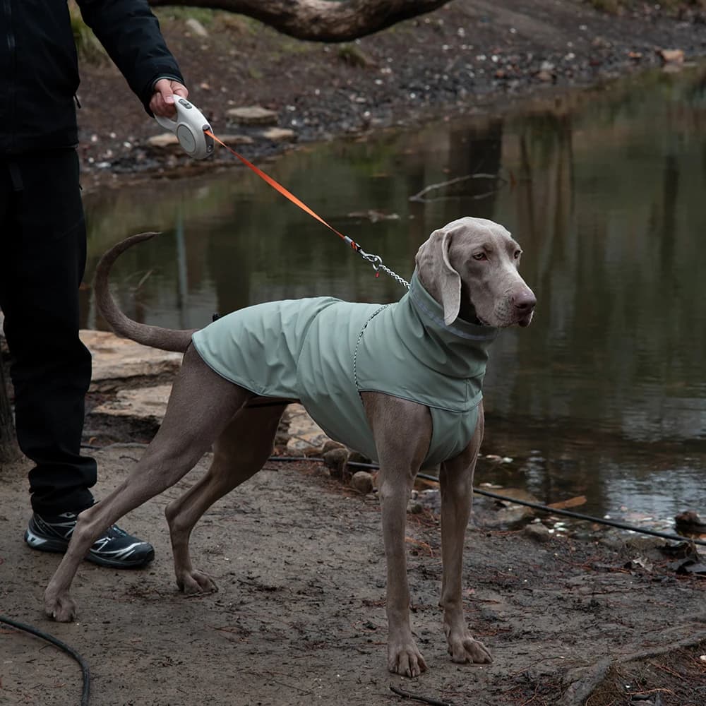 Veste de pluie ajustable pour chien 🌧️