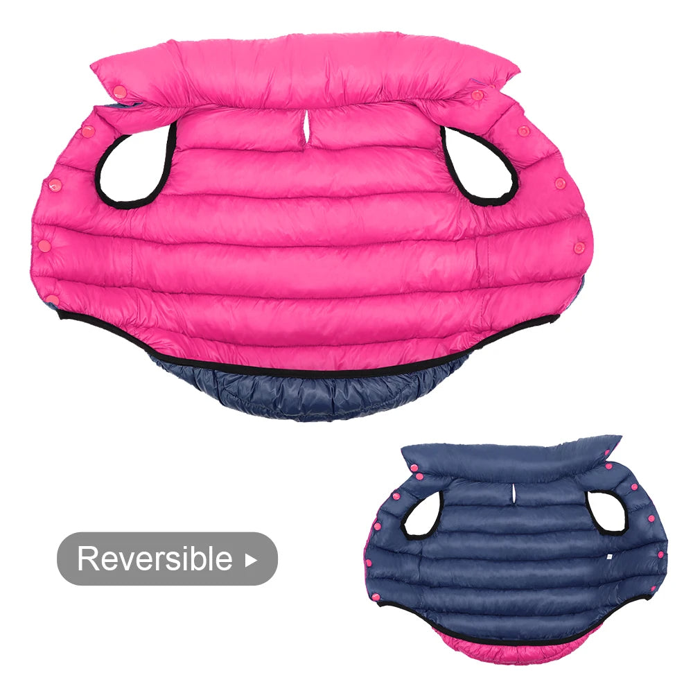 🧥🐶 Veste chien hiver réversible – Protection en toutes saisons ! ❄️☔