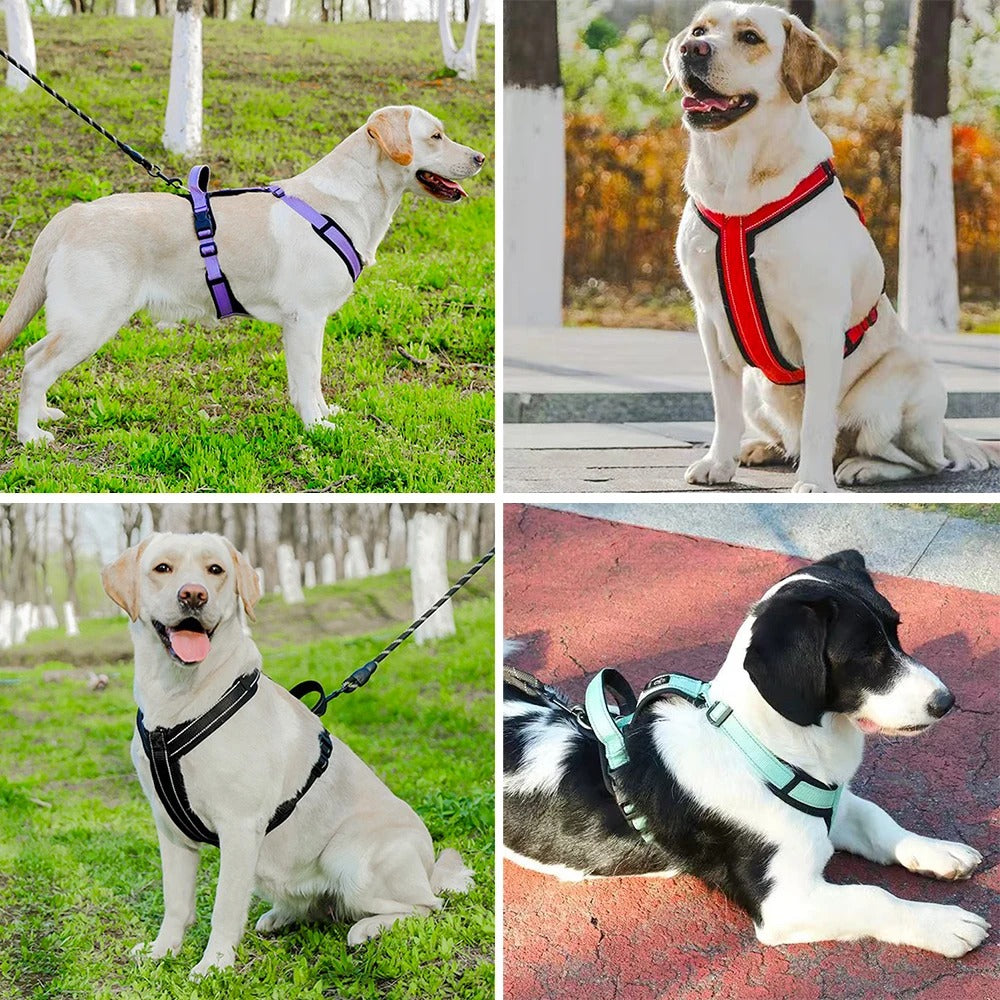 🐾 Harnais de Sécurité pour Chien – Confort & Contrôle 🐕
