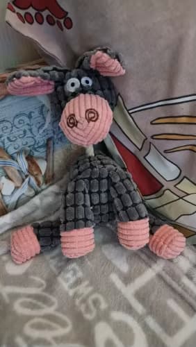đ§ž Jouet en peluche pour chien â Velours cĂŽtelĂ©, forme dâanimal, avec couicoui intĂ©grĂ© đŸ