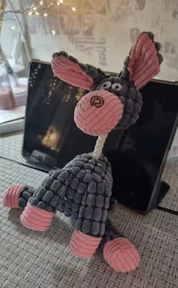 đ§ž Jouet en peluche pour chien â Velours cĂŽtelĂ©, forme dâanimal, avec couicoui intĂ©grĂ© đŸ