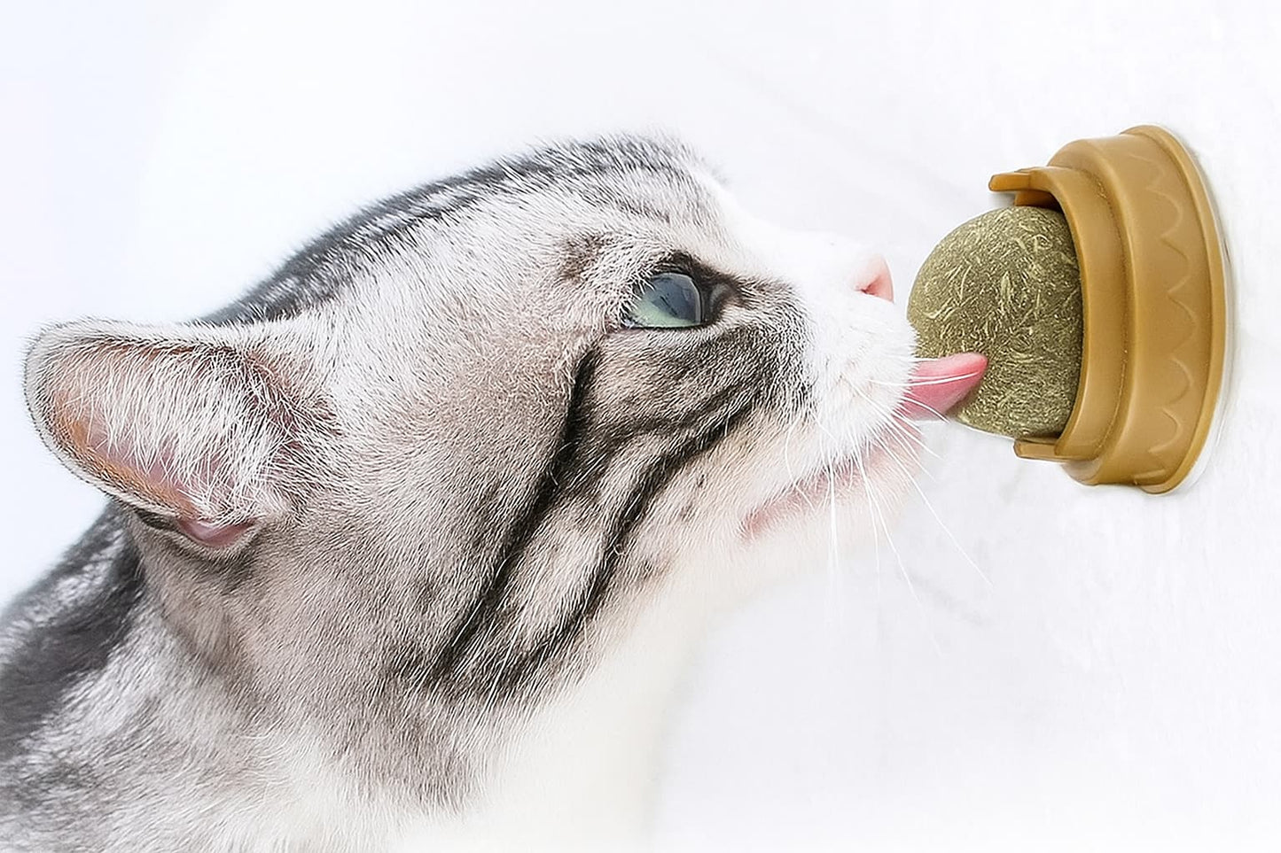 🌿 Boule murale à coller d'herbe à chat 🐾