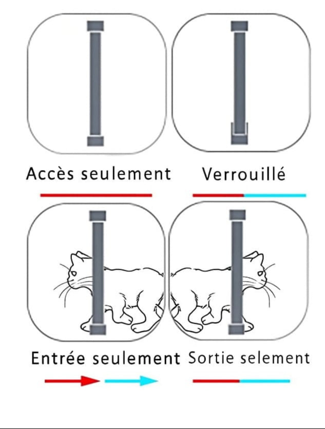 🚪🐱 Chatière 4 positions : liberté & contrôle 🐾