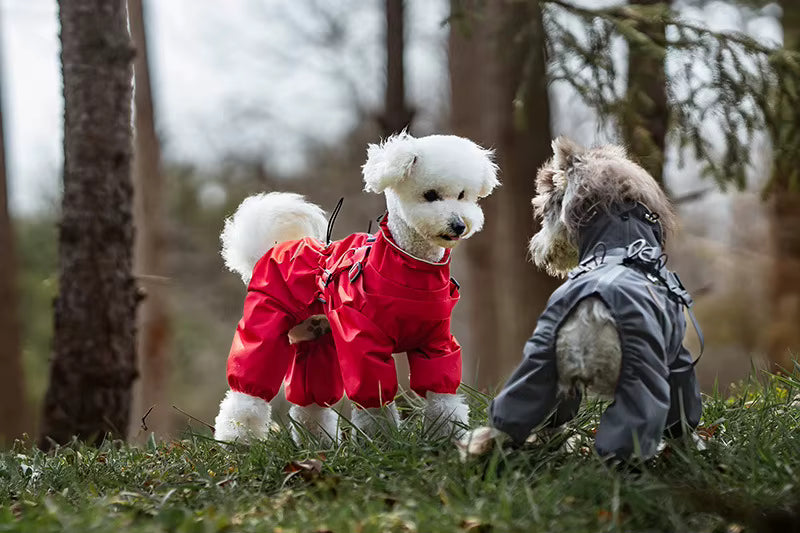 Combinaison imperméable pour chien