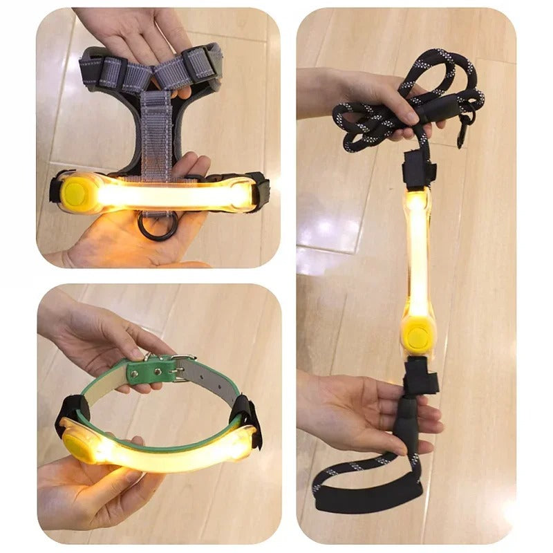Bande lumineuse de Sécurité pour Collier – Promenades Nocturnes en Toute Sérénité