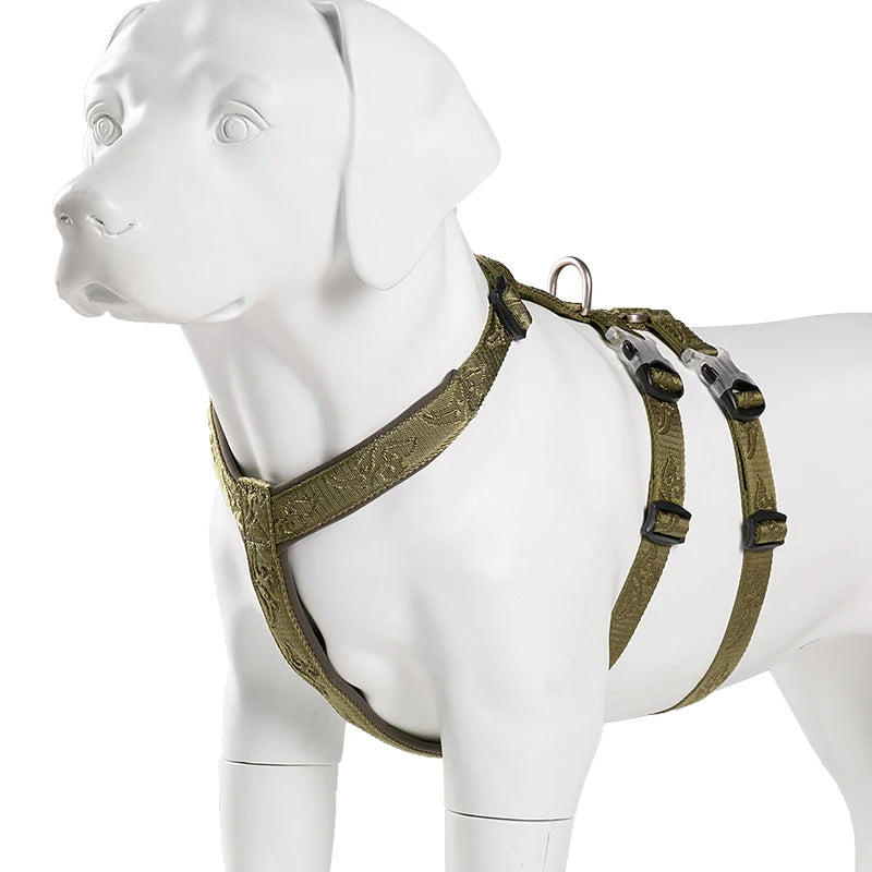Harnais Chien Basic – Confort, Durabilité et Sécurité 🐾