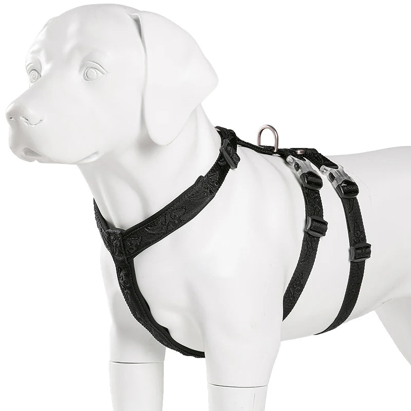Harnais Chien Basic – Confort, Durabilité et Sécurité 🐾