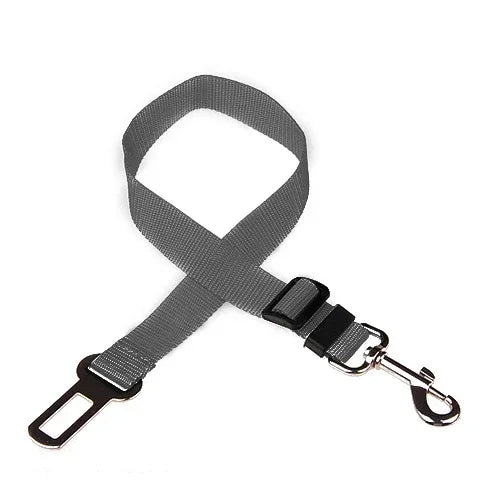 đ Ceinture de SĂ©curitĂ© pour Chien ou chat â SĂ©curitĂ© lors de Tous vos Trajets