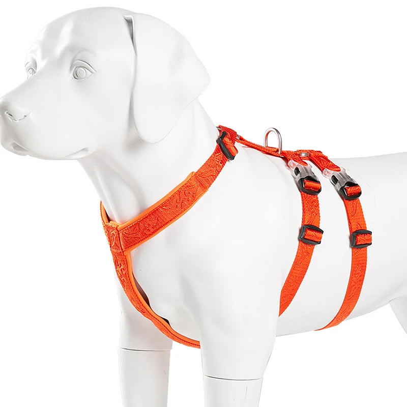 Harnais Chien Basic – Confort, Durabilité et Sécurité 🐾