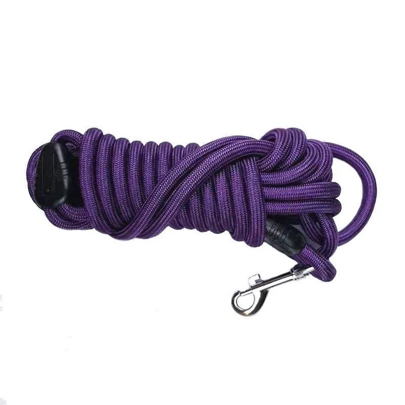 Longe – Idéale pour l'Entraînement et l'Agility 🐕💨