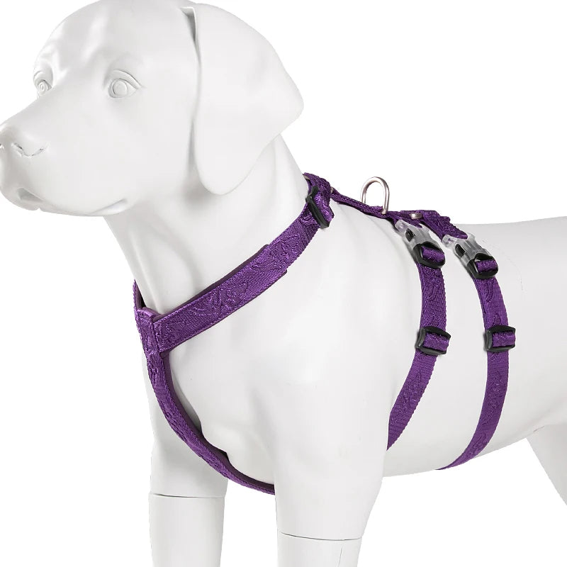 Harnais Chien Basic – Confort, Durabilité et Sécurité 🐾