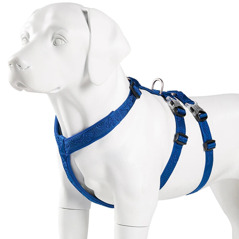 Harnais Chien Basic – Confort, Durabilité et Sécurité 🐾