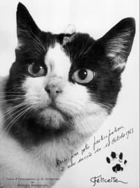 Félicette, aller/retour dans l'espace