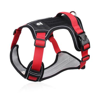 Harnais pour Chien Bi-Couleur – Confort, Contrôle et Visibilité