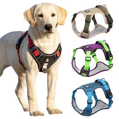 Harnais pour Chien Bi-Couleur – Confort, Contrôle et Visibilité