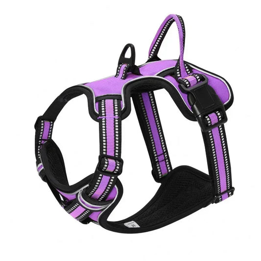 🐾 Harnais Réglable pour Chien – Confort, Sécurité et Style !