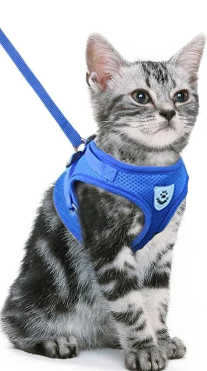 🐾Harnais spécial chat ou petit chien