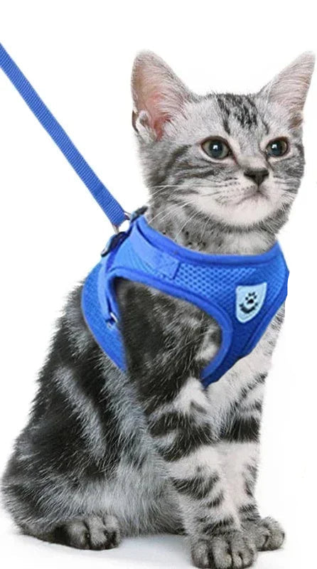 🐾Harnais spécial chat ou petit chien