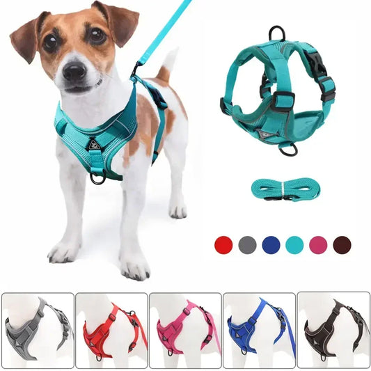 Harnais pour Chien Réglable avec Laisse – Confort et Sécurité au Quotidien 🐶